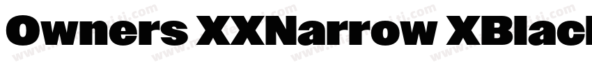 Owners XXNarrow XBlack Italic字体转换